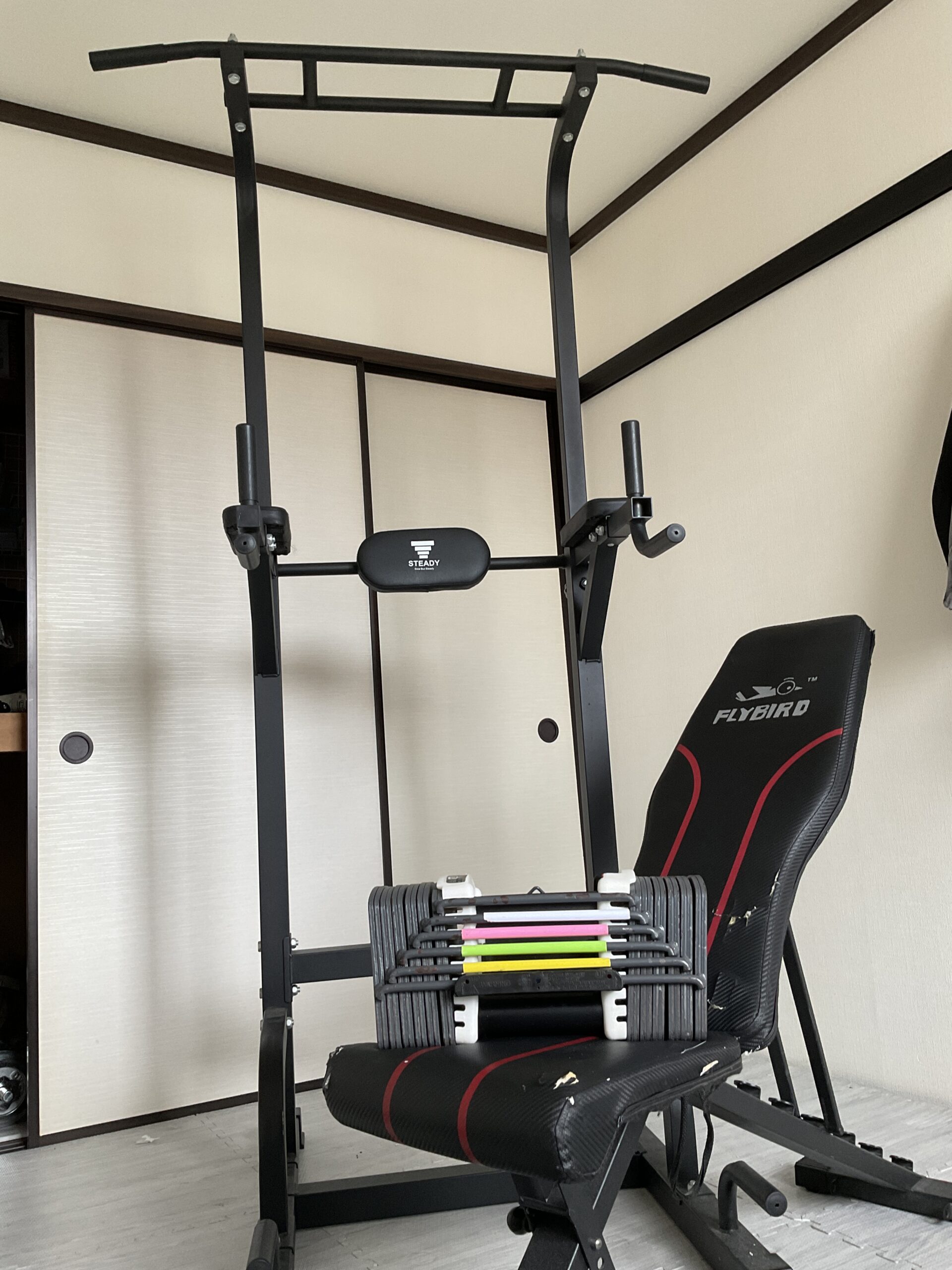 STEADYの懸垂マシン、FLYBIRDのインクラインベンチ、可変式ダンベルを設置したホームジムの様子
